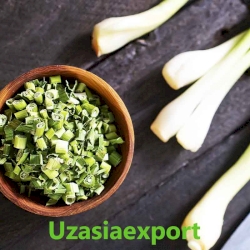 Leek